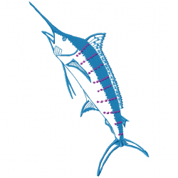 Fishes Embroidery Design 12 Fishes Embroidery Design 12